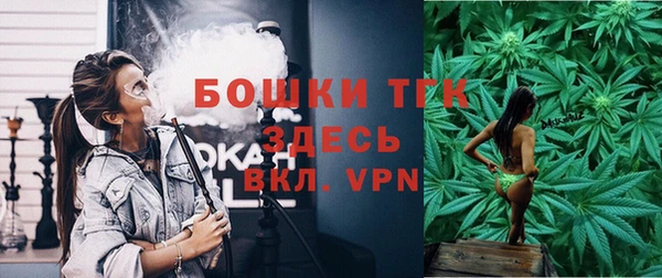 ECSTASY Ладушкин