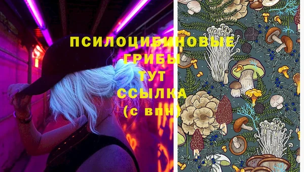 гашишное масло Лабытнанги