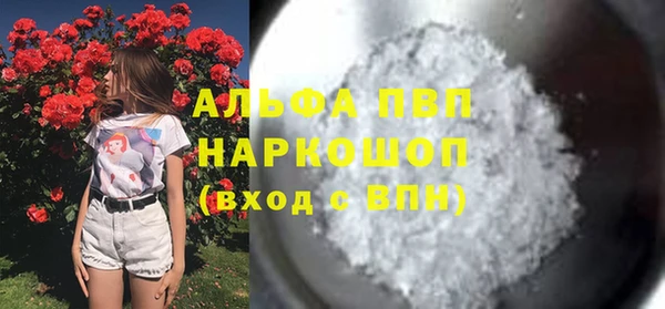 ECSTASY Ладушкин